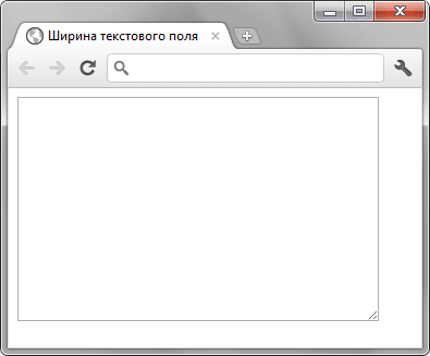 Вид текстового поля в браузере Chrome
